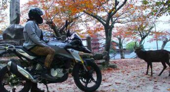 Korea to Japan Motorcycle Touring, An Exciting Adventure